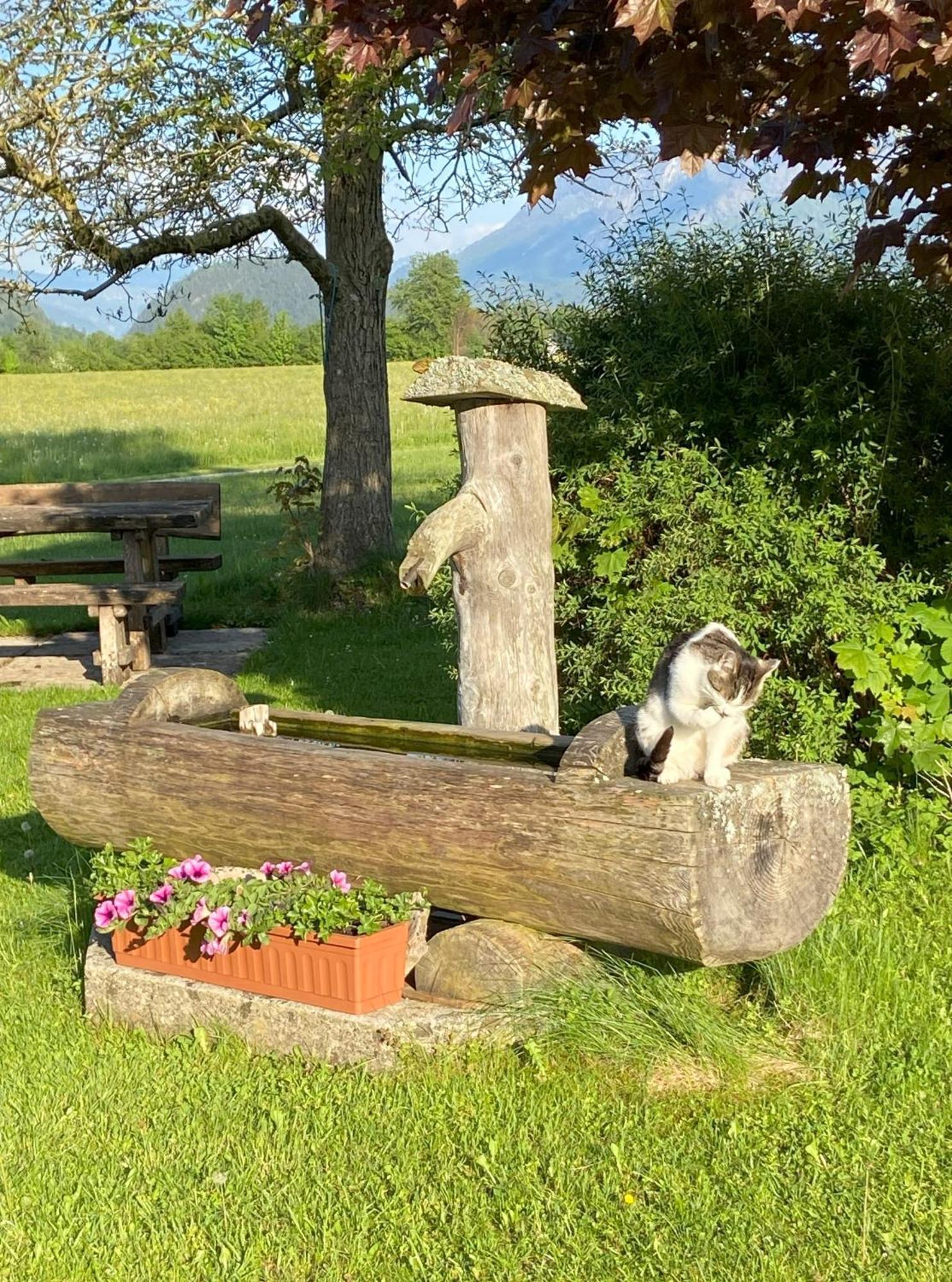 Apartamento Plombergbauer Sankt Gilgen Exterior foto
